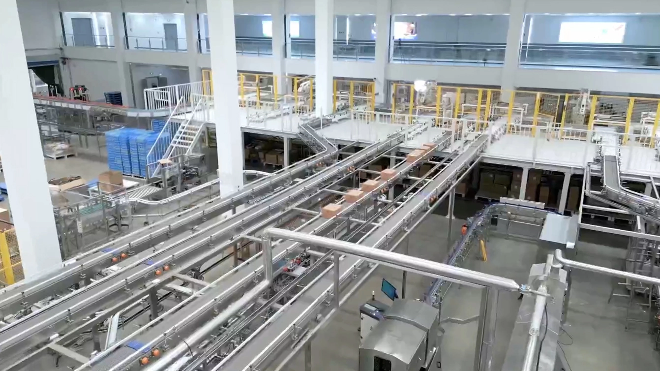 The Number of Cargo Spaces Is 7,700—17 Four-Way Vehicles, 12 Elevators, 9 Latent AGVs, and 3 Unmanned Forklifts